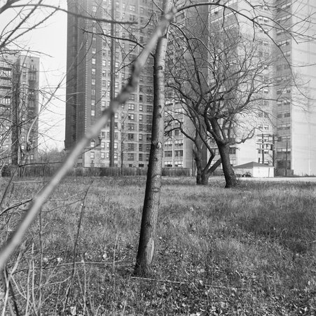 Promontory Apartments in Hyde Park - Mead, Mildred