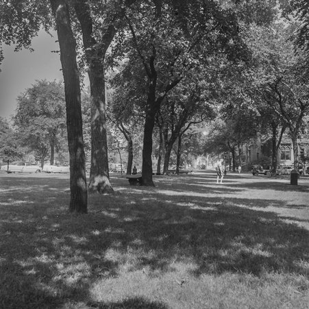 View of Midway Plaisance in Hyde Park-Kenwood - Mead, Mildred