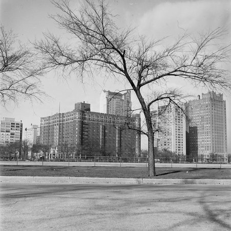 Promontory Apartments in Hyde Park - Mead, Mildred