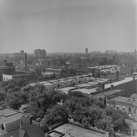 View north from roof of 5550 South Dorchester Avenue in Hyde Park-Kenwood - Mead, Mildred