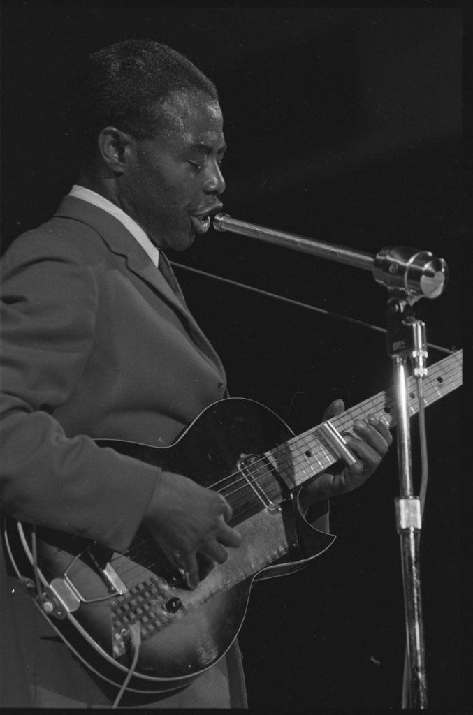 Little Walter, Big Walter, and J.B. Hutto - Flerlage, Raeburn, 1915-2002