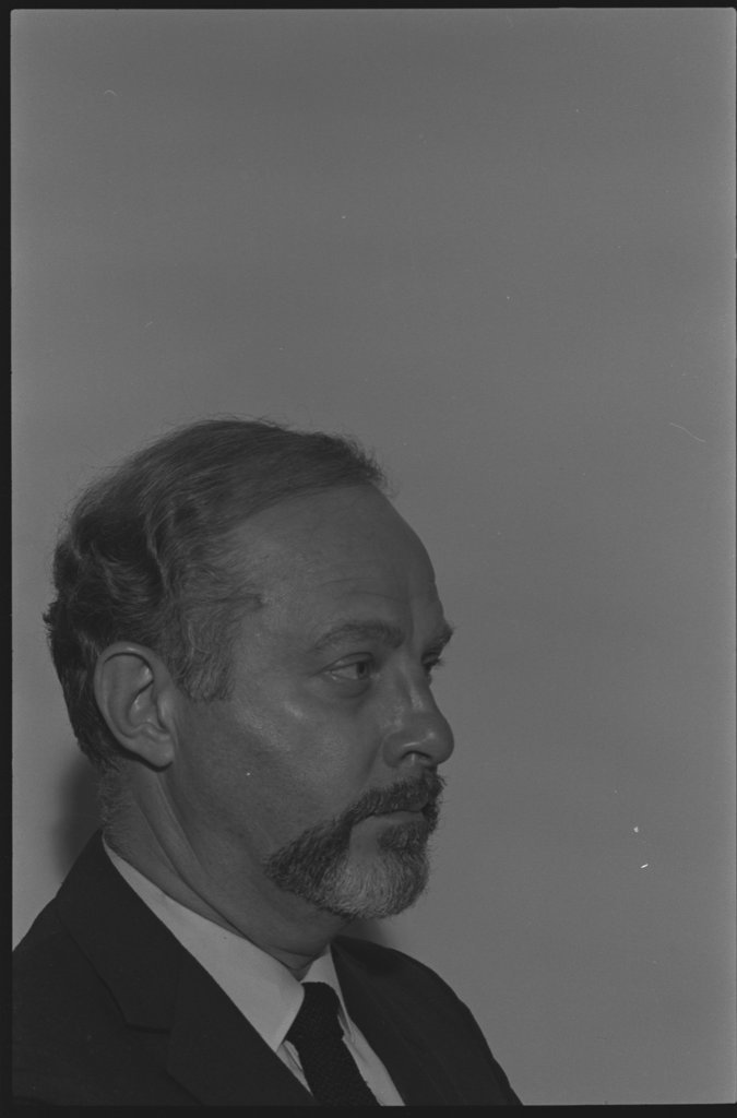 Self portraits of Raeburn Flerlage - Flerlage, Raeburn, 1915-2002