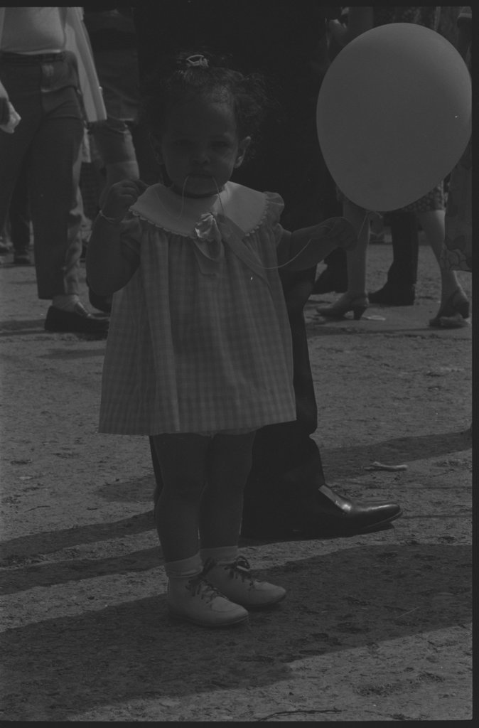The 57th Street Art Fair - Flerlage, Raeburn, 1915-2002
