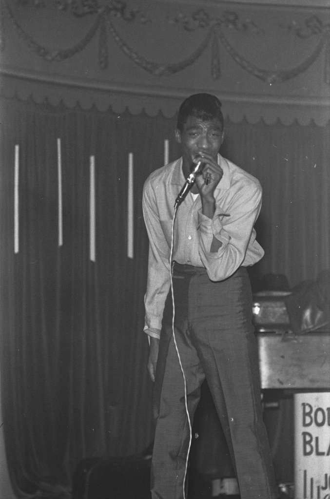 Bobby Bland - Flerlage, Raeburn, 1915-2002