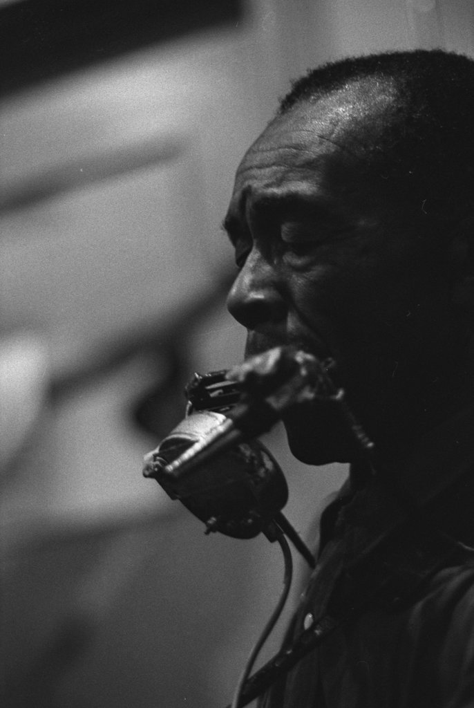 Jesse Fuller - Flerlage, Raeburn, 1915-2002