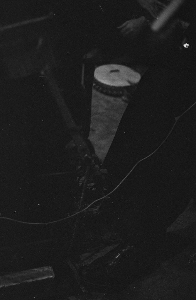 Jesse Fuller - Flerlage, Raeburn, 1915-2002