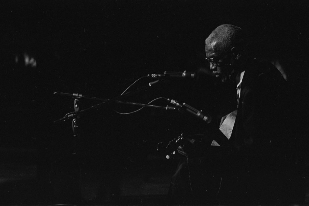 Furry Lewis - Flerlage, Raeburn, 1915-2002