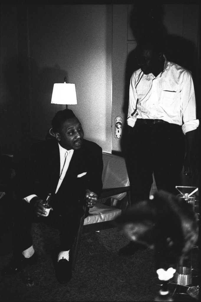 Muddy Waters and John Lee Hooker - Flerlage, Raeburn, 1915-2002