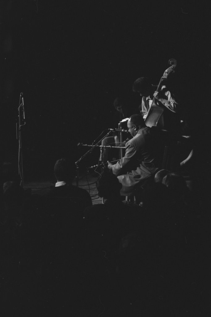 Big Joe Williams and Mike Bloomfield - Flerlage, Raeburn, 1915-2002