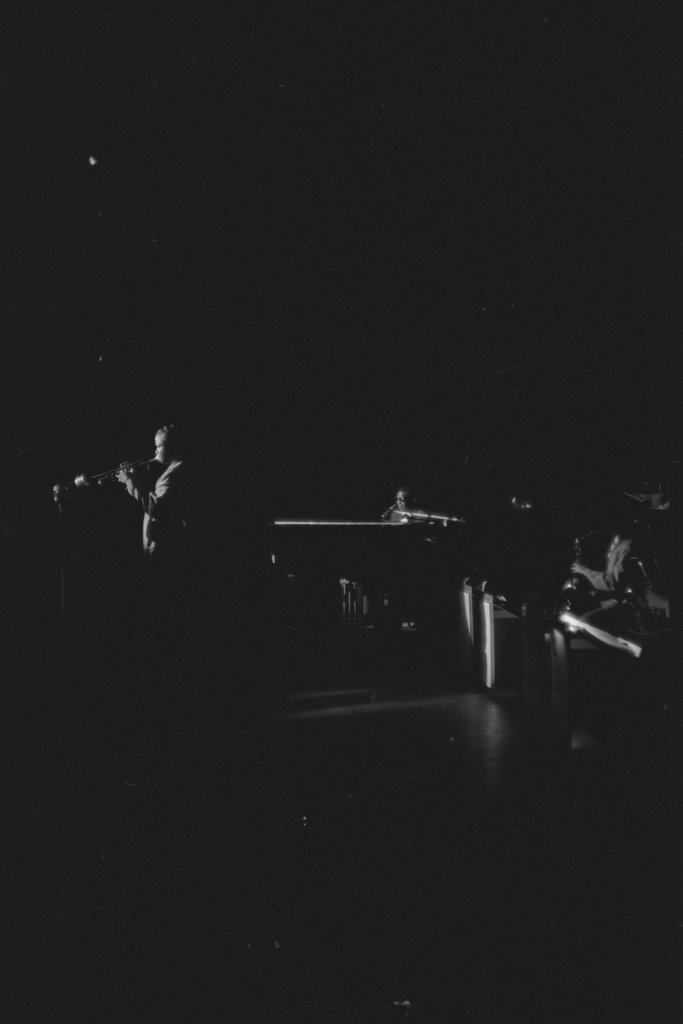 Ray Charles - Flerlage, Raeburn, 1915-2002