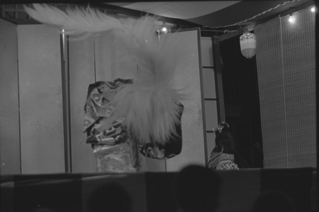 Ginza holiday - Flerlage, Raeburn, 1915-2002