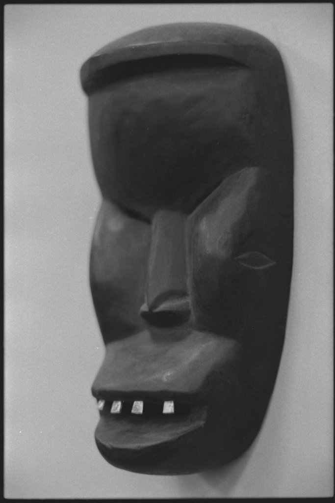 Negro History Exhibition - Flerlage, Raeburn, 1915-2002