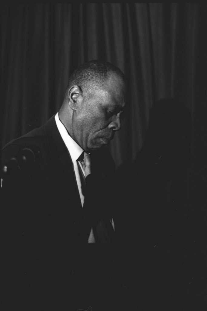 Sunnyland Slim - Flerlage, Raeburn, 1915-2002