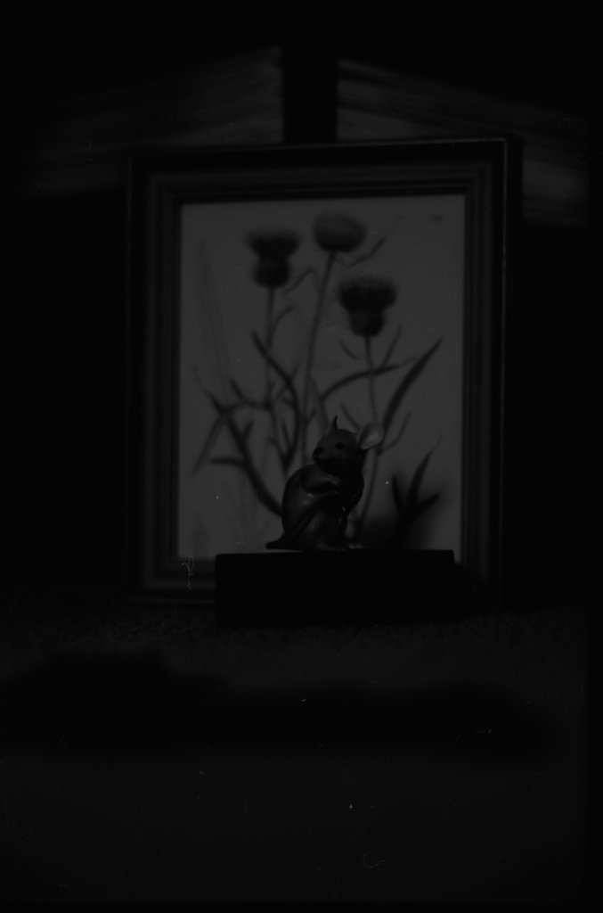 Store windows and unidentified art fair - Flerlage, Raeburn, 1915-2002