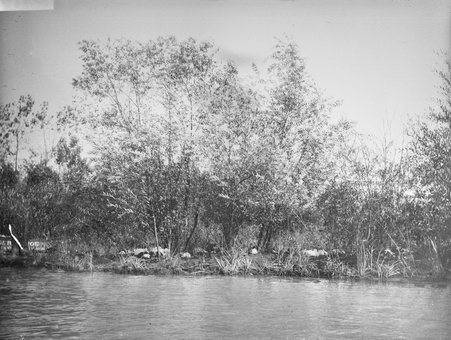 Shores of Wooded Island, World's Columbian Exposition - Glessner, John George M. (John George Macbeth), 1871-1929