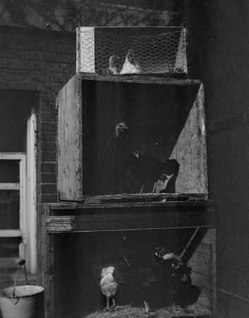 Photographs of student activities at the Francis W. Parker School - Francis W. Parker School