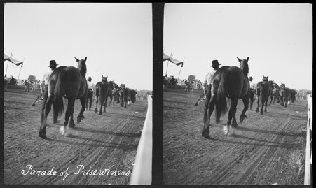 Prizewinning horses - Hansen, Christian