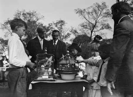 Photographs of student activities at the Francis W. Parker School - Francis W. Parker School
