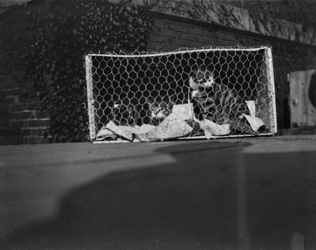 Photographs of student activities at the Francis W. Parker School - Francis W. Parker School