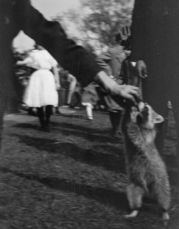 Photographs of student activities at the Francis W. Parker School - Francis W. Parker School