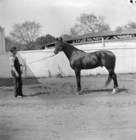 Trip with mother - McCutcheon, John T. (John Tinney), 1870-1949