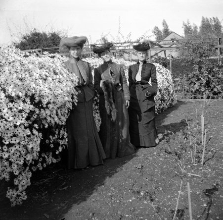 Trip with mother - McCutcheon, John T. (John Tinney), 1870-1949
