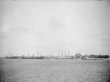 Havana and Palm Beach - McCutcheon, John T. (John Tinney), 1870-1949