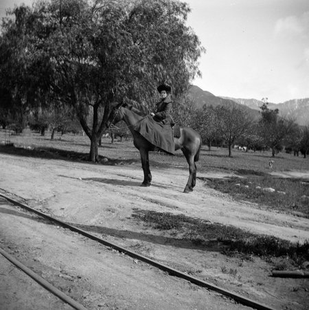 Trip with mother - McCutcheon, John T. (John Tinney), 1870-1949