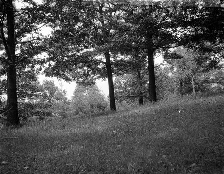 Asheville, North Carolina - McCutcheon, John T. (John Tinney), 1870-1949