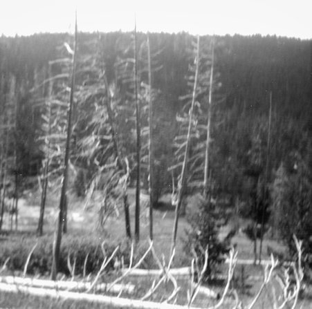 Trip with mother - McCutcheon, John T. (John Tinney), 1870-1949
