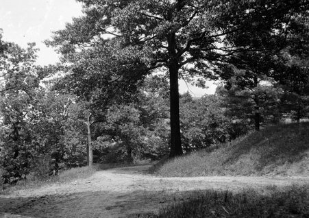 Asheville, North Carolina - McCutcheon, John T. (John Tinney), 1870-1949