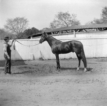 Trip with mother - McCutcheon, John T. (John Tinney), 1870-1949