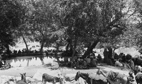 Askhabad to Meshed - McCutcheon, John T. (John Tinney), 1870-1949