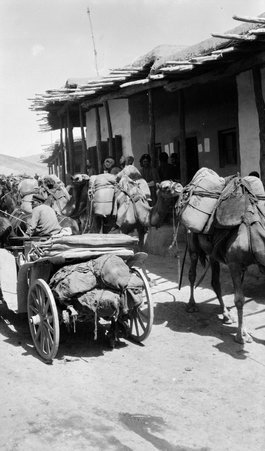 Streets and bazaars of Central Asia - McCutcheon, John T. (John Tinney), 1870-1949