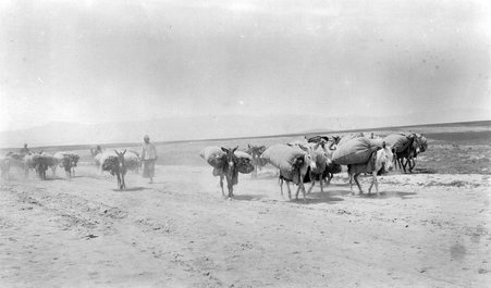Askhabad to Meshed - McCutcheon, John T. (John Tinney), 1870-1949