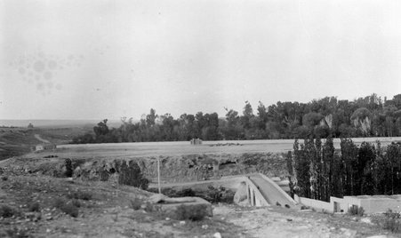 Trip to Central Asia - McCutcheon, John T. (John Tinney), 1870-1949