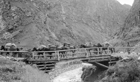 Trip to Central Asia - McCutcheon, John T. (John Tinney), 1870-1949