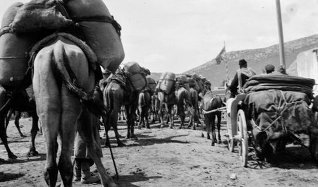 Trip to Central Asia - McCutcheon, John T. (John Tinney), 1870-1949