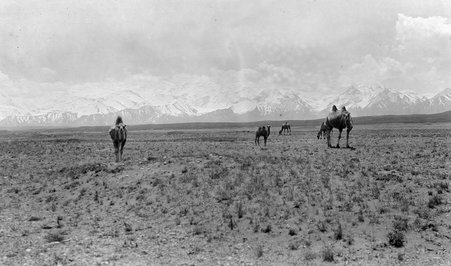 Caravan - McCutcheon, John T. (John Tinney), 1870-1949