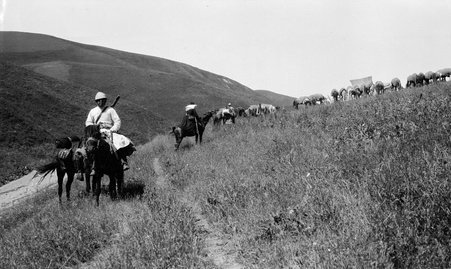 Caravan - McCutcheon, John T. (John Tinney), 1870-1949