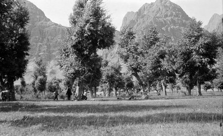 Caravan - McCutcheon, John T. (John Tinney), 1870-1949