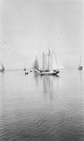 Oceana cruise - McCutcheon, John T. (John Tinney), 1870-1949