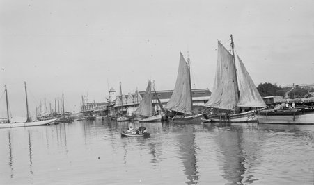 Oceana - McCutcheon, John T. (John Tinney), 1870-1949