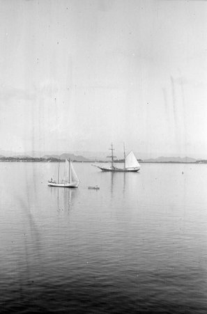Oceana - McCutcheon, John T. (John Tinney), 1870-1949