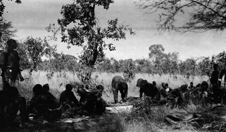 Safari - McCutcheon, John T. (John Tinney), 1870-1949