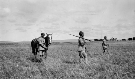 Safari - McCutcheon, John T. (John Tinney), 1870-1949