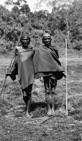 People in Africa - McCutcheon, John T. (John Tinney), 1870-1949