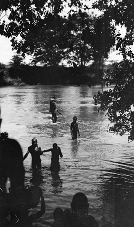 Safari - McCutcheon, John T. (John Tinney), 1870-1949