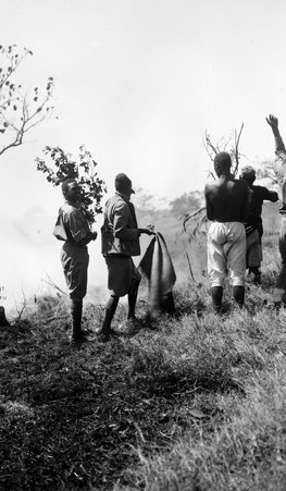 Natives in Africa - McCutcheon, John T. (John Tinney), 1870-1949