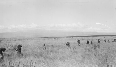 Safari - McCutcheon, John T. (John Tinney), 1870-1949